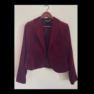 The Limited Velvety Short Blazer